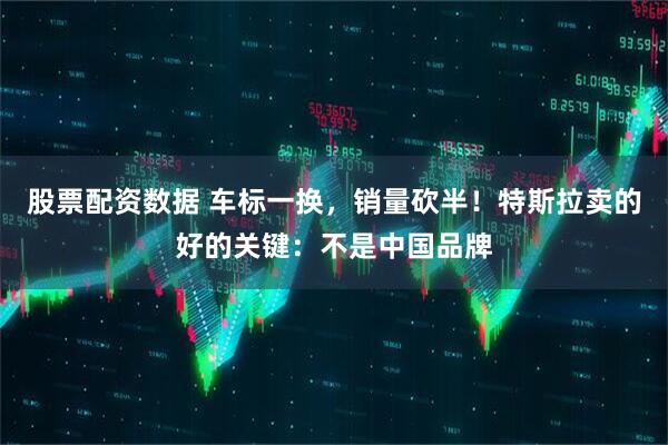 股票配资数据 车标一换，销量砍半！特斯拉卖的好的关键：不是中国品牌