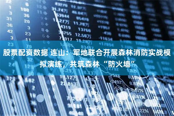 股票配资数据 连山：军地联合开展森林消防实战模拟演练，共筑森林 “防火墙”